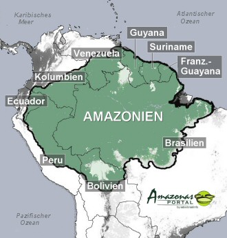 Amazonien » Amazonas Portal