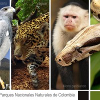 Nationalparks und Naturreservate in Kolumbien