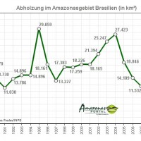 Brasilien bescheinigt Amazonas niedrigste Abholzungsrate in 24 Jahren