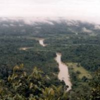 Brasiliens Nationalparks in Amazonien