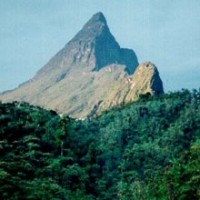 Pico da Neblina Nationalpark