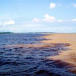 Abenteuer am Rio Negro