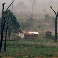 Packende Umwelt-Doku: Droht dem Amazonas der Kahlschlag?