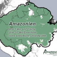 Der Wert Amazoniens