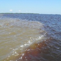 Lebensspendende Weißwasserflüsse