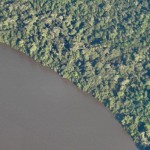 Abholzung im Amazonasgebiet Brasiliens weiter rückläufig