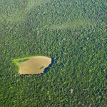 Forscher warnen vor weniger Regen durch Abholzung im Amazonas