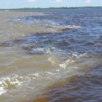 Drei Flussarten in Amazonien
