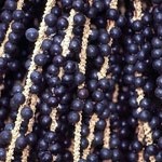 Açaí – nahrhafte Frucht