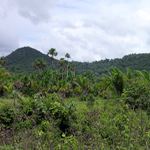 Parque do Viruá – Nationalpark im extremen Norden