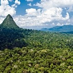 Parque do Divisor – Nationalpark in Pará