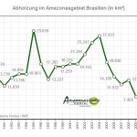 Abholzung in Amazonien nimmt wieder dramatisch zu