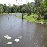 Expedition nach Amazonien – mit den richtigen Impfungen