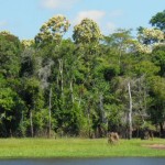 Abenteuer Regenwald – Touren durch ein faszinierendes Ökosystem