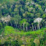 Mord an Anführern: Indios im Grenzgebiet von Peru suchen Hilfe