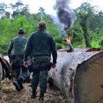 Amazonas-Schutz: Mit hochauflösenden Satellitenbildern kriminelle Machenschaften bekämpfen