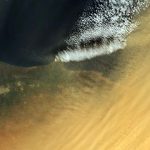 Sahara für Regen und Düngung des Amazonas-Regenwaldes verantwortlich