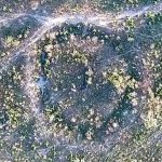 Geoglyphen belegen: Amazonas-Regenwald einst dicht besiedelt