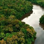 Mercosul soll „fliegende Flüsse“ Amazoniens schützen