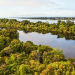 Dreidimensionale Laserbilder des Amazonas-Regenwaldes im Einsatz für Klima-Schutz