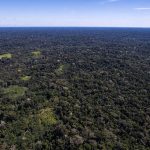 Fonds zum Schutz des Amazonas-Regenwaldes im Mittelpunkt von Kritik und Lob