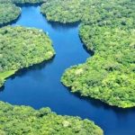 Tag Amazoniens: Nachhaltige Entwicklung im Amazonas-Regenwald ein Muß