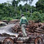 WWF-Studie belegt 5.675 Prozesse für Mineralabbau in Schutzgebieten und Indio-Territorien Amazoniens
