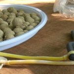 Rondônia Brasilien: Mit Steinschleuder Bäume pflanzen