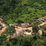 Brasilien: In zwölf Monaten 7.900 Quadratkilometer zerstört