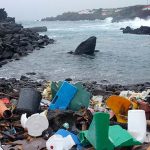 Plastikpartikel auch in Amazoniens Fischen nachgewiesen