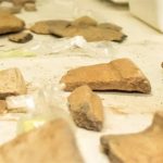 Brasilien: Forscher entdecken 3.000 Jahre alte Siedlungsnachweise