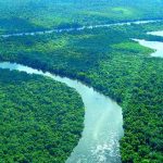 Amazonien verliert jährlich 350 Quadratkilometer Wasserfläche