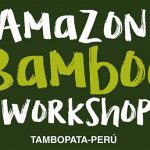 Peru: Mit Bambus den Amazonas-Regenwald retten