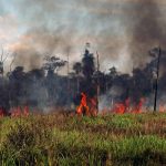 Nach Protesten: Militäreinsatz zur Bekämpfung von Großbränden in Brasiliens Amazonas-Region