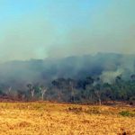 Schleppende Brandbekämpfung in Boliviens und Brasiliens Regenwald