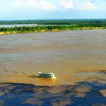 Zum Tag Amazoniens gründen Organisationen einen Fonds zum Schutz des Regenwaldes