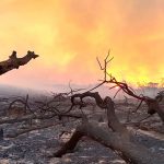 Brasilianisches Amazonien: Militäreinsatz verringert drastisch Zahl neuer Brandherde, nicht aber Rodungen