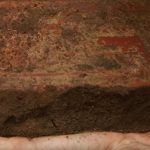 Studie belegt Berichte aus dem 16. Jahrhundert über starke Besiedlung Amazoniens