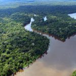 Klimagipfel COP25: Deutschland, Norwegen und Großbritannien finanzieren Regenwaldschutz in Kolumbien