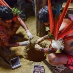 Nationalpark Pico da Neblina: Yanomami-Indios bieten Touren auf den „Berg des Windes“