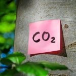 Internationale Studie belegt: Amazonas-Regenwald ist zur Kohlendioxidquelle geworden