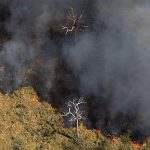 Gipfel der Länder Amazoniens: Bio-Ökonomie und Regenwaldzerstörung