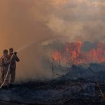 Im Amazonas-Regenwald Brasiliens nehmen Brände und Rodungen weiter stark zu