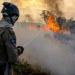 Brasilien Verzeichnet Einen Starken Anstieg Der Lauffeuer  Aktuelles