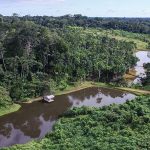 Forum will zum Schutz des Regenwaldes nachhaltige Nutzung Amazoniens fördern