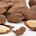 Paranuss – Wichtiges Produkt für regionale Entwicklung und Regenwaldschutz