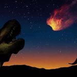 Aus der Dinosaurier durch Asteroid hat Amazonas-Regenwald begünstigt