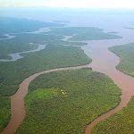 Unesco und Luxusartikelunternehmen wollen gemeinsam Herz Amazoniens schützen