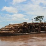 Das Amazonasgebiet – Urwälder mit besonderer Bedeutung für die Erde