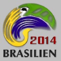Brasilien WM2014 FanMagazin